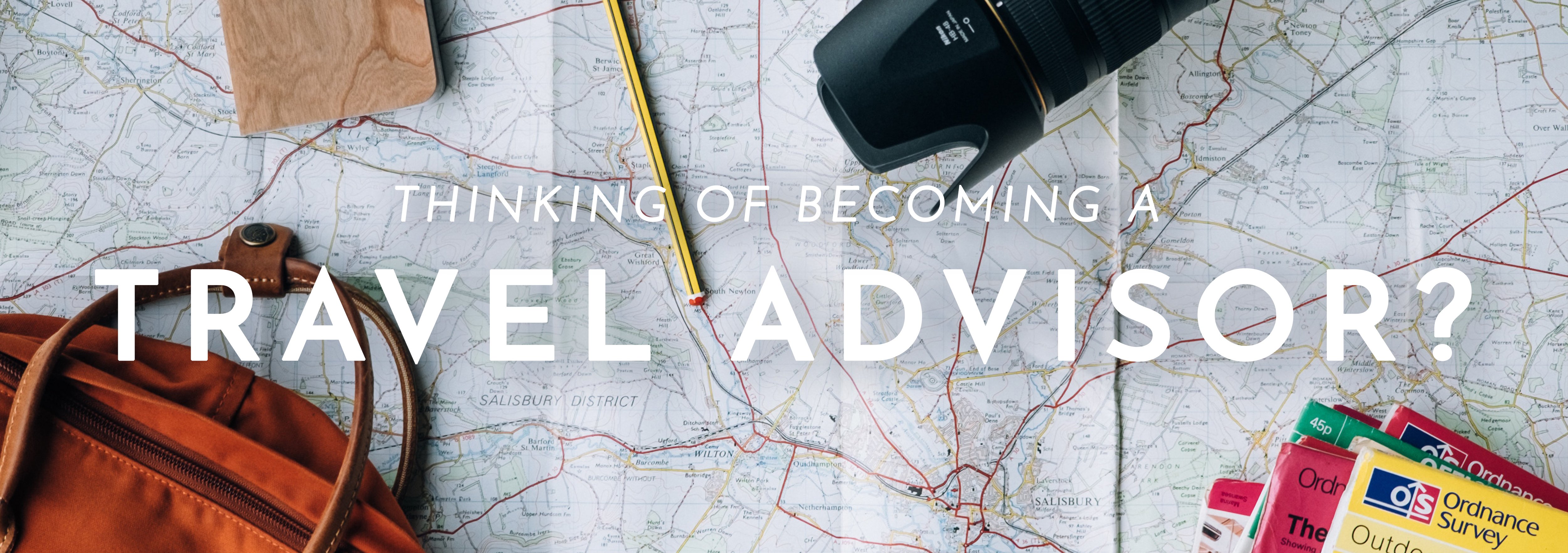Thinking of a Travel Advisor?